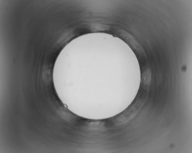 X0000116820426201001081421