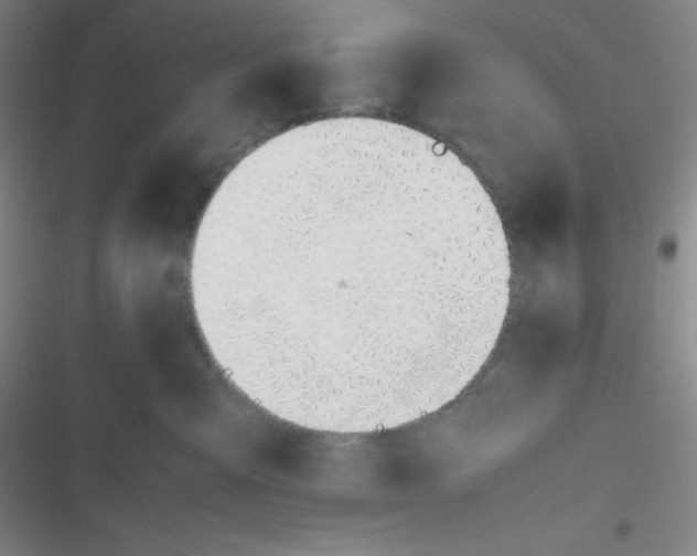 X0000116820427201001081421