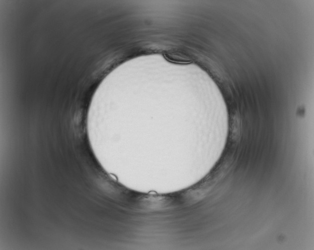 X0000116820428201001081421