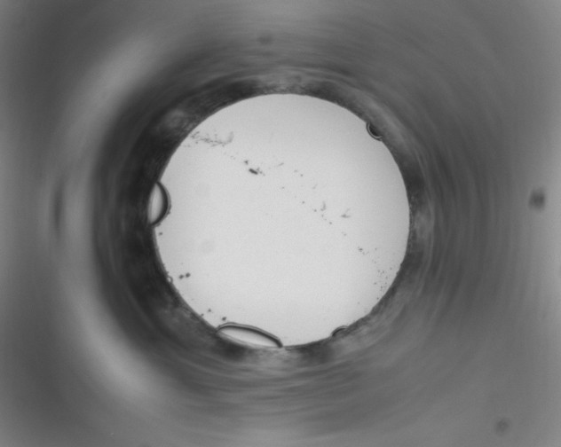 X0000116820429201001081421