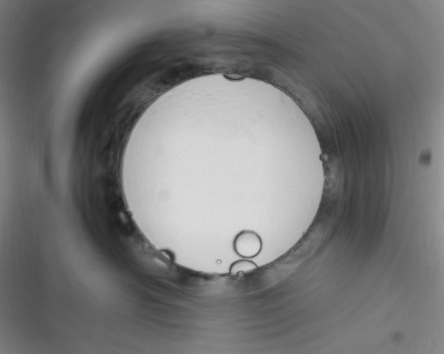 X0000116820430201001081421