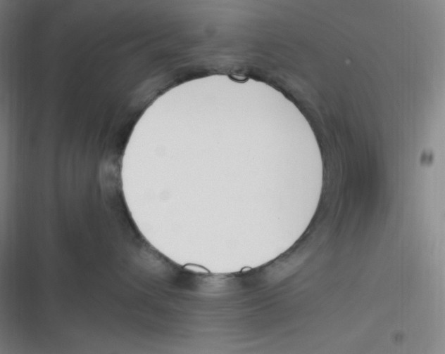 X0000116820432201001081421