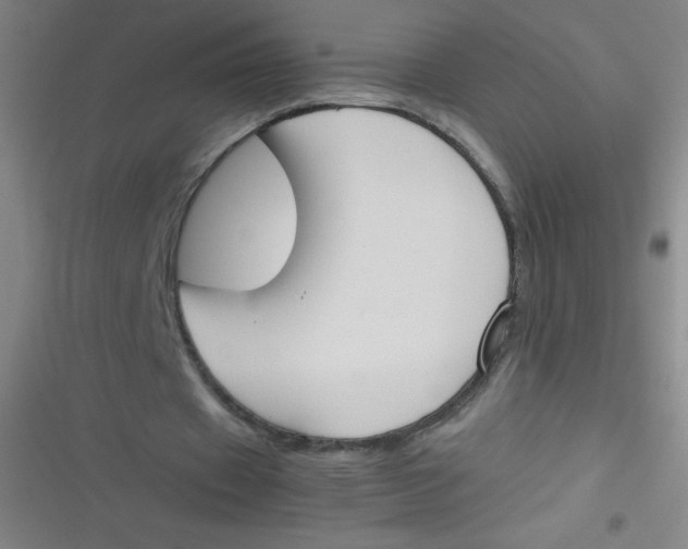 X0000116820433201001081420