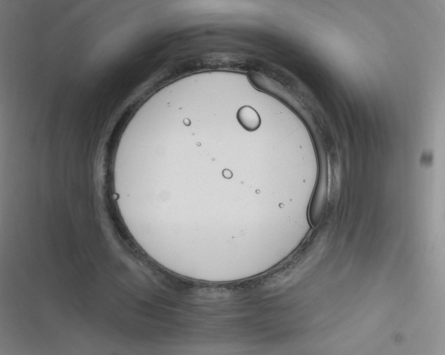 X0000116820435201001081420