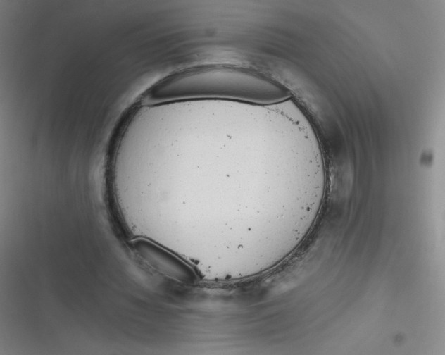 X0000116820436201001081420