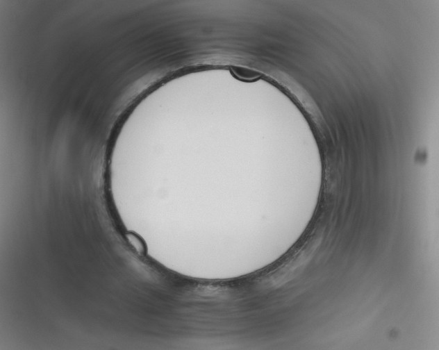 X0000116820437201001081420