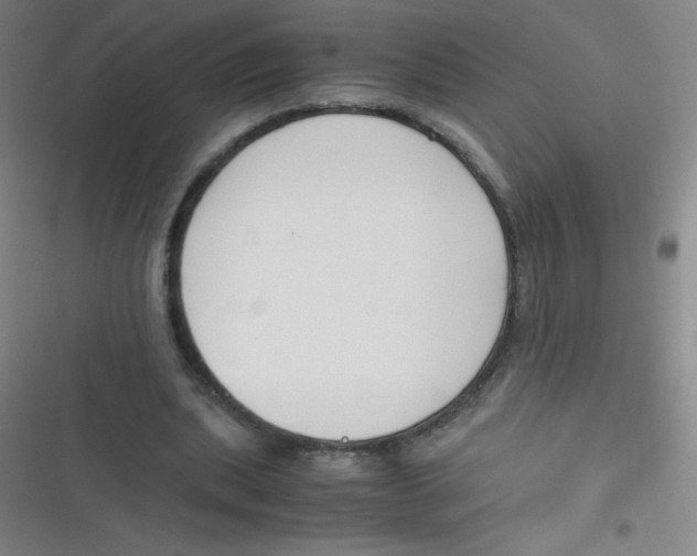 X0000116820439201001081420