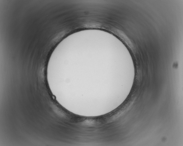 X0000116820441201001081420