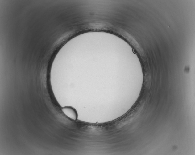 X0000116820442201001081420