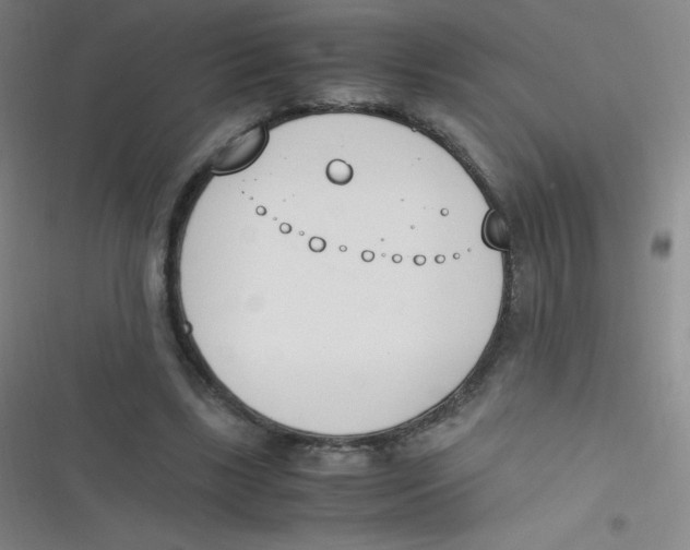 X0000116820443201001081420