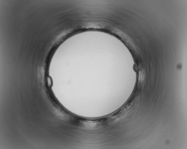 X0000116820444201001081420