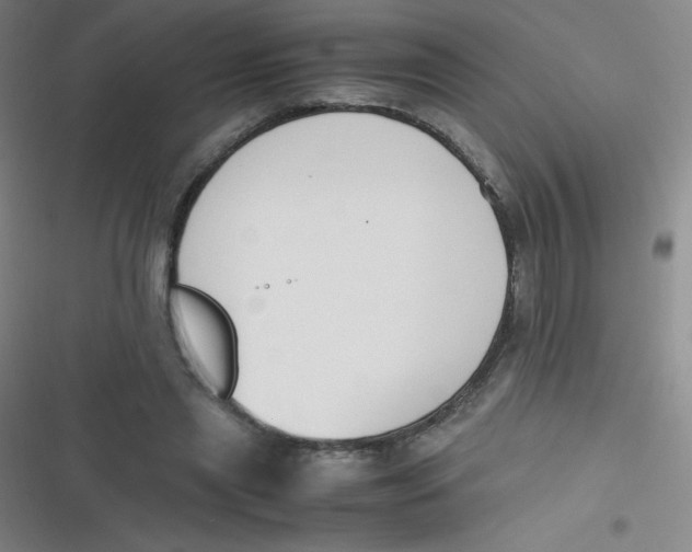 X0000116820445201001081420