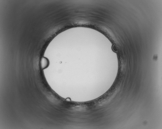 X0000116820447201001081420