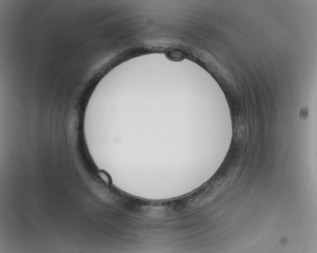 X0000116820448201001081420