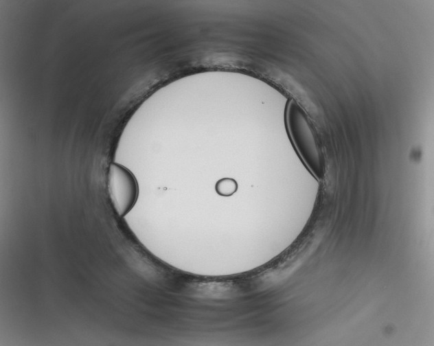 X0000116820449201001081420