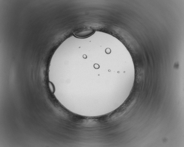 X0000116820451201001081420