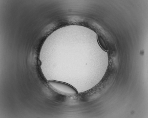 X0000116820452201001081420