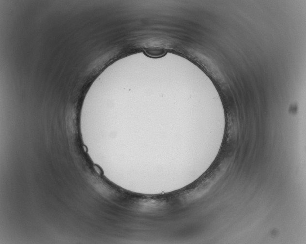 X0000116820453201001081420