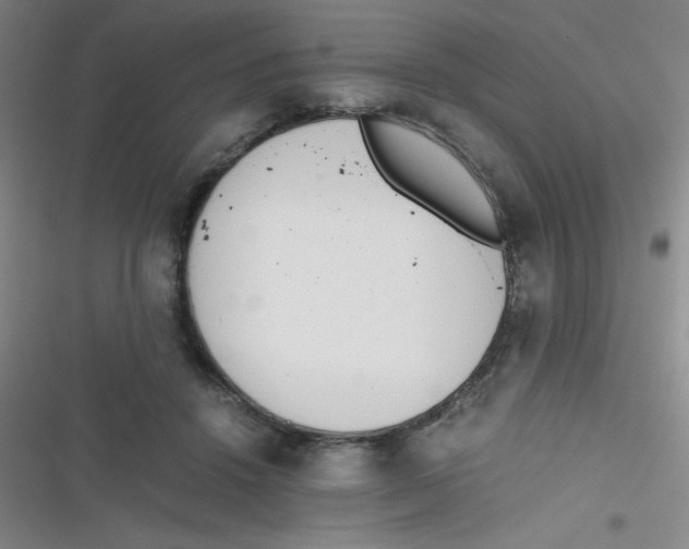 X0000116820456201001081420