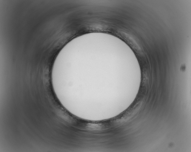 X0000116820457201001081420