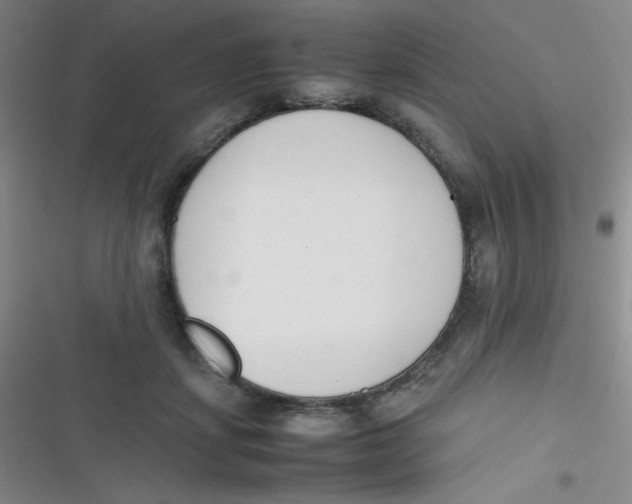 X0000116820459201001081420