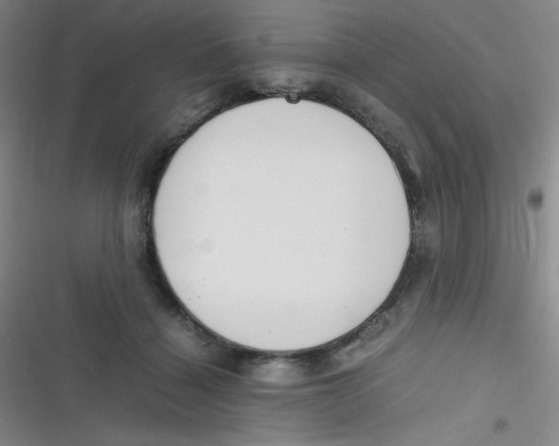 X0000116820460201001081420