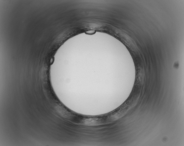 X0000116820461201001081420