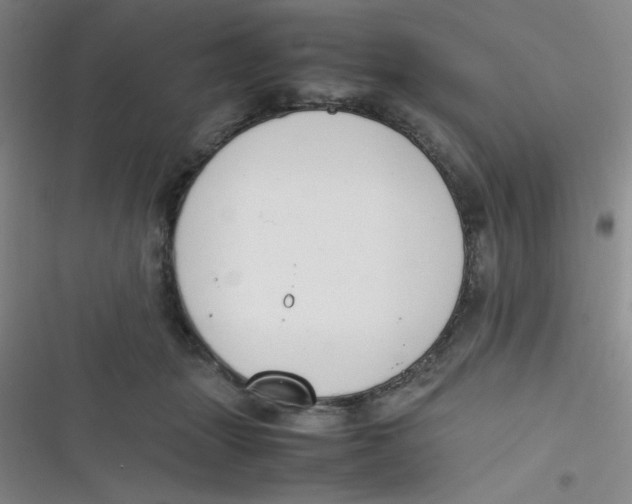 X0000116820463201001081420