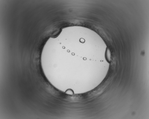 X0000116820466201001081420