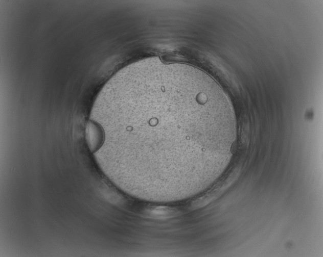 X0000116820467201001081420