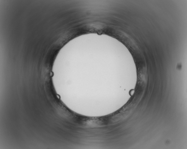 X0000116820468201001081420