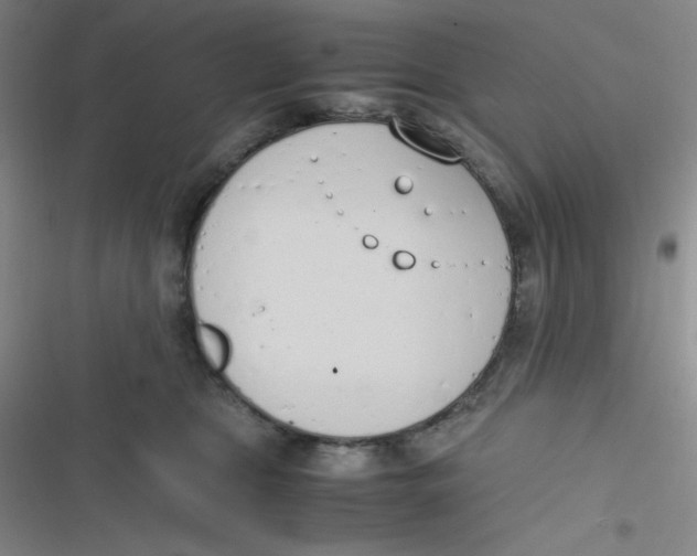 X0000116820469201001081420