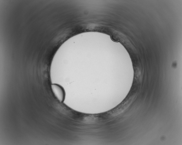 X0000116820470201001081420