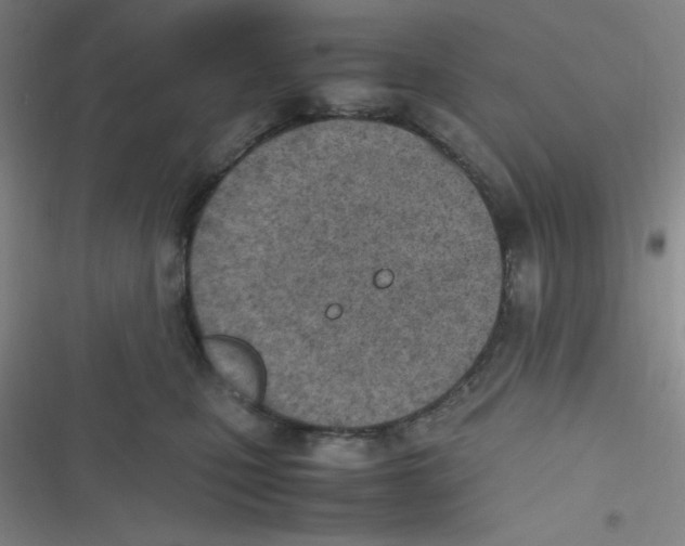 X0000116820471201001081420