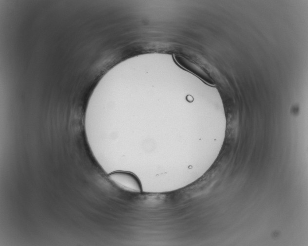 X0000116820474201001081420