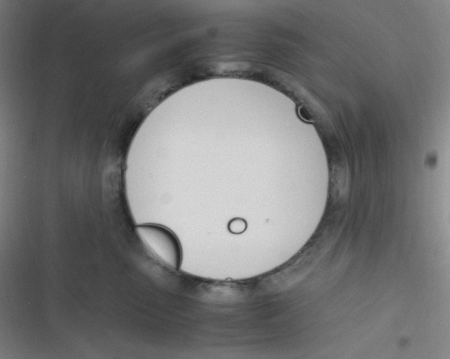 X0000116820475201001081420