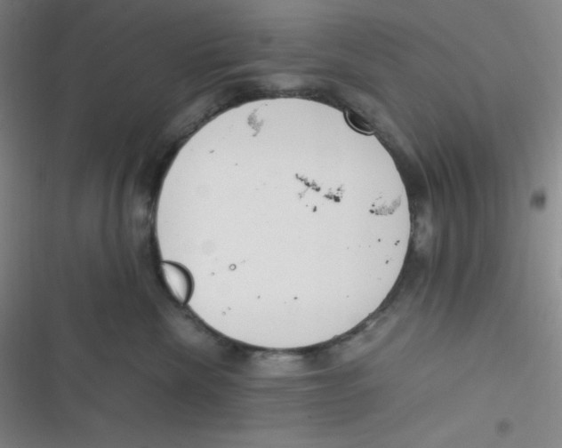 X0000116820476201001081420