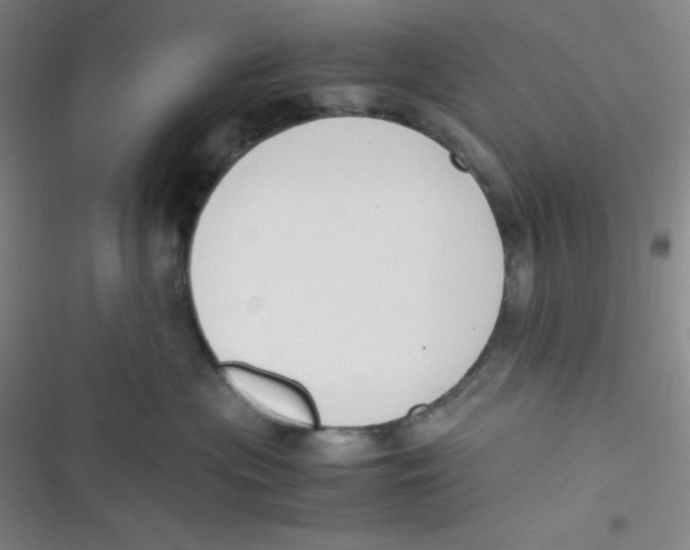 X0000116820477201001081420