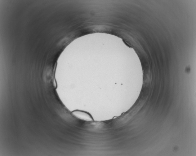 X0000116820478201001081420