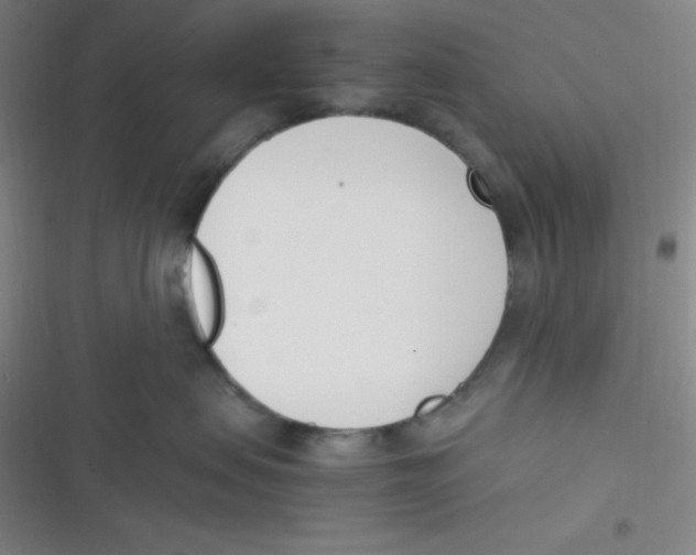 X0000116820479201001081420