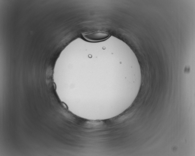 X0000116820480201001081420