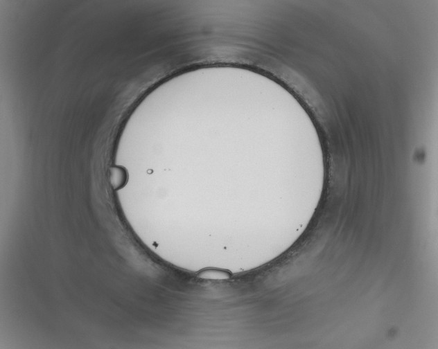 X0000116820481201001081420