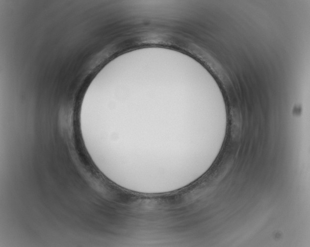 X0000116820482201001081420