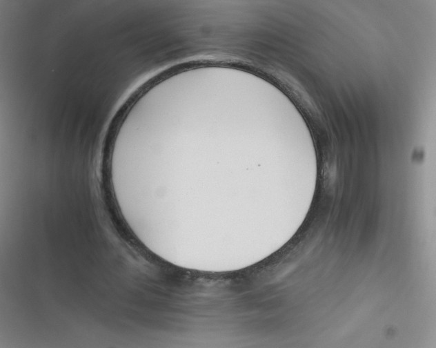 X0000116820484201001081420