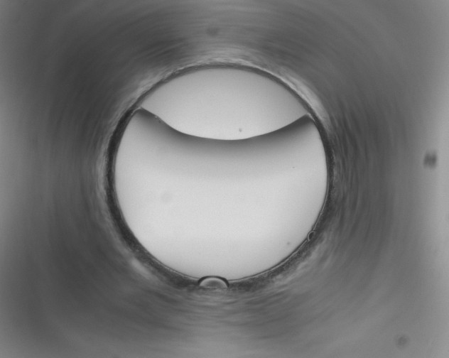 X0000116820485201001081420