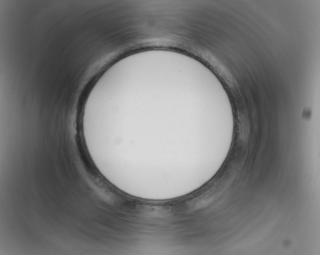 X0000116820486201001081420