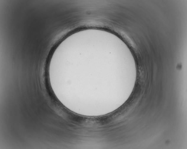 X0000116820487201001081420