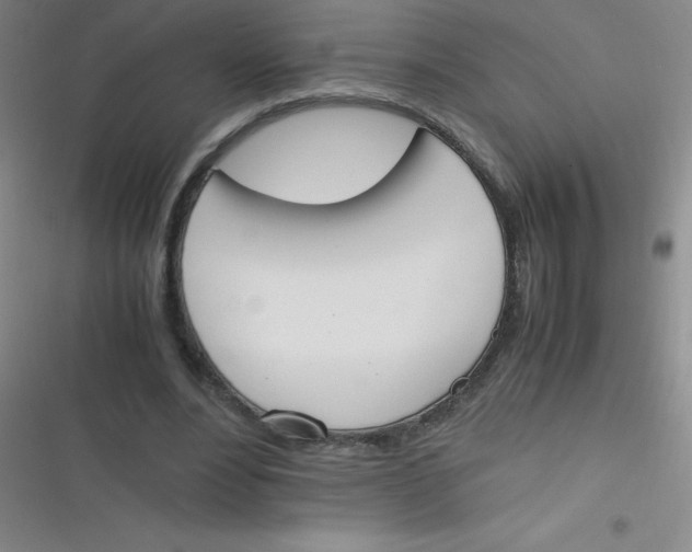 X0000116820488201001081420