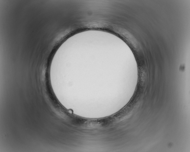 X0000116820491201001081420