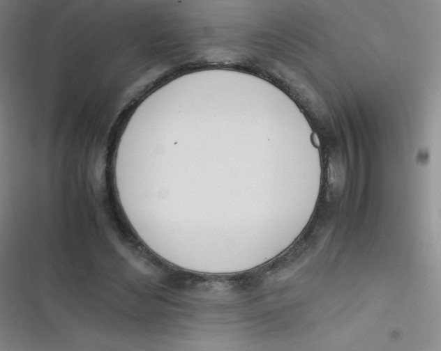 X0000116820492201001081420